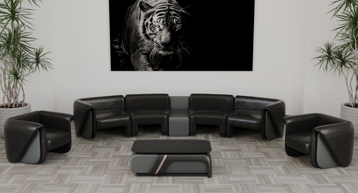 Vip Koltuk Takımları 